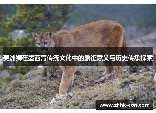 美洲狮在墨西哥传统文化中的象征意义与历史传承探索 美洲狮在墨西哥传统文化中的象征意义与历史传承探索