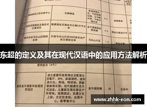 东超的定义及其在现代汉语中的应用方法解析